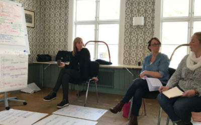 Skräddarsytt om hjärnan i Luleå